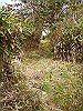 tunatuke011_thumb.png