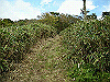 tunatuke012_thumb.png