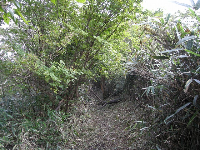 tunatuke013.jpg