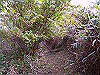 tunatuke013_thumb.png