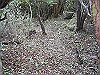 tunatuke014_thumb.png