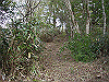 tunatuke015_thumb.png