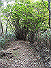 tunatuke016_thumb.png