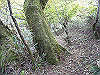 tunatuke017_thumb.png
