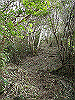 tunatuke018_thumb.png