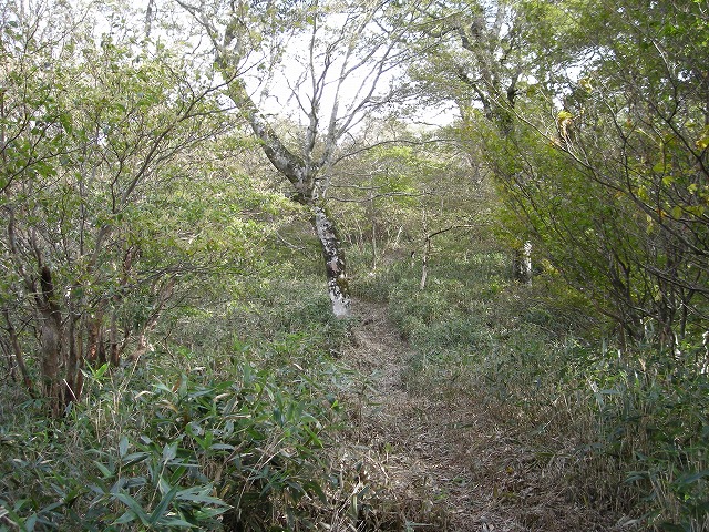 tunatuke019.jpg
