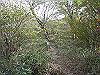 tunatuke019_thumb.png