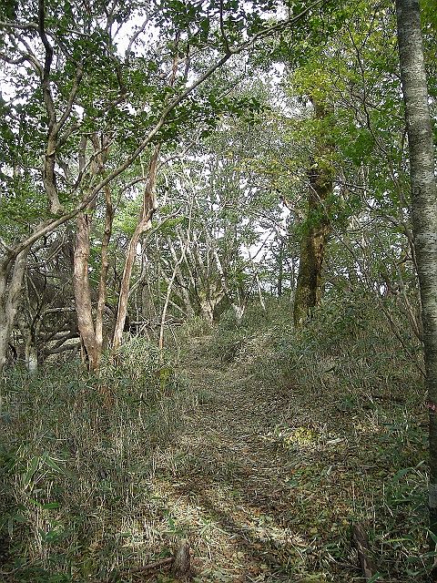 tunatuke020.jpg