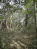 tunatuke020_thumb.png