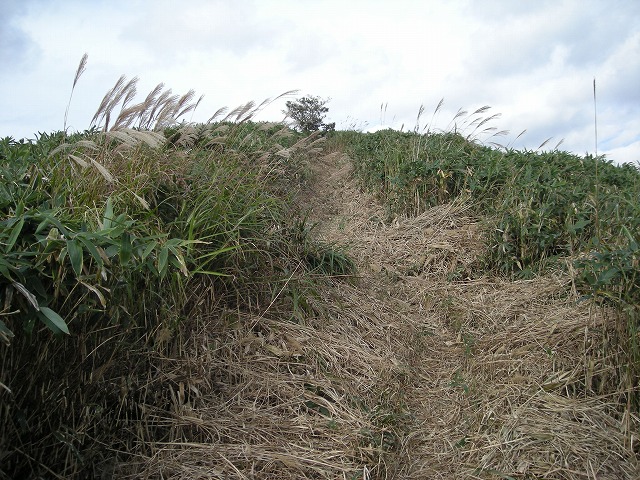tunatuke021.jpg