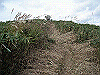 tunatuke021_thumb.png