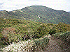 tunatuke023_thumb.png