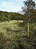 tunatuke025_thumb.png