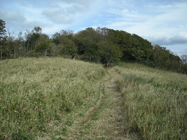 tunatuke027.jpg