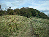 tunatuke027_thumb.png