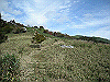 tunatuke029_thumb.png