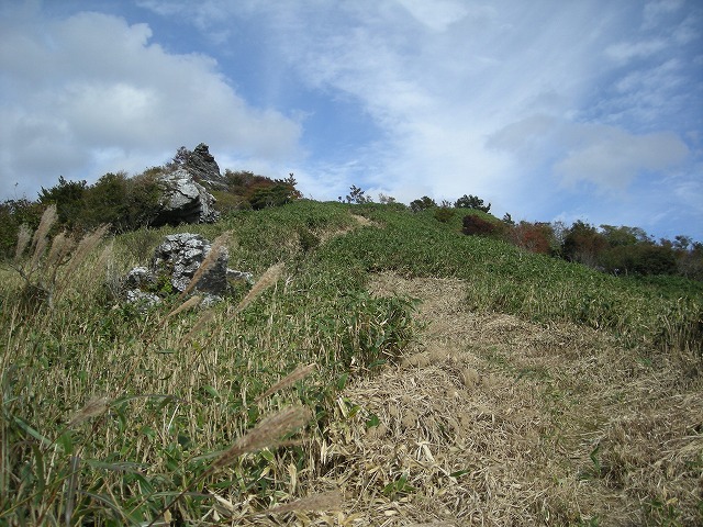 tunatuke030.jpg