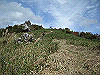 tunatuke030_thumb.png