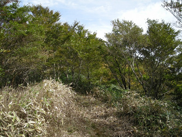 tunatuke031.jpg