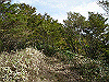 tunatuke031_thumb.png