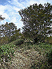 tunatuke032_thumb.png