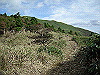 tunatuke033_thumb.png