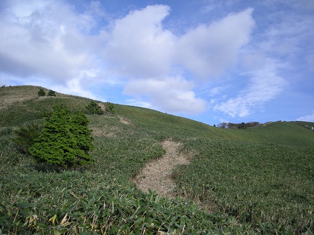 tunatuke034.jpg