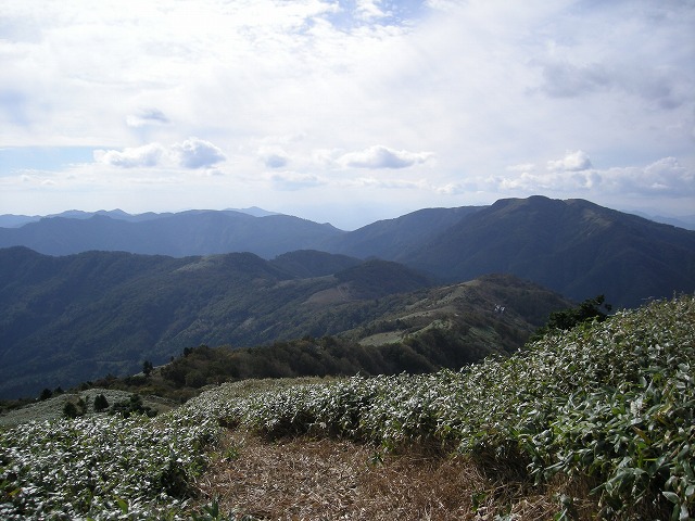 tunatuke035.jpg