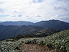 tunatuke035_thumb.png