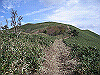 tunatuke036_thumb.png