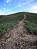 tunatuke037_thumb.png