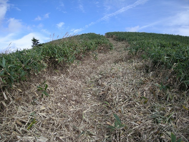 tunatuke038.jpg