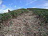 tunatuke038_thumb.png