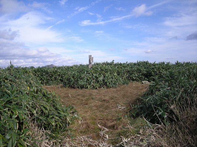 tunatuke039.jpg