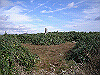 tunatuke039_thumb.png