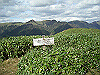 tunatuke040_thumb.png