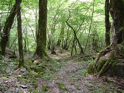 tu206.jpg