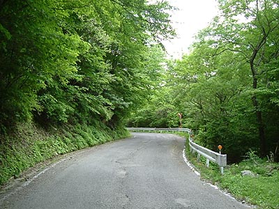 tu208.jpg