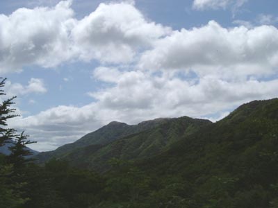 tu209.jpg