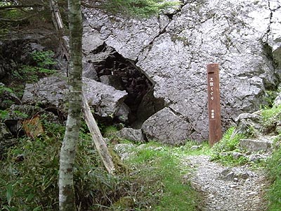 tu229.jpg