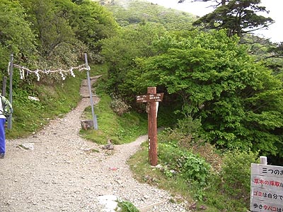 tu302.jpg