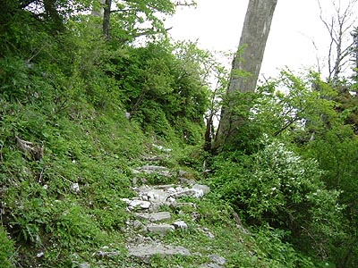 tu305.jpg