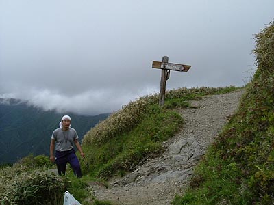 tu310.jpg