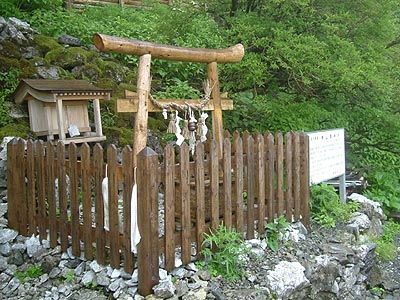 tu315.jpg