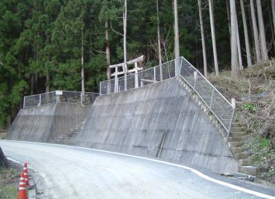 tusi04.jpg