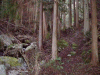 tusi06_thumb.png