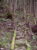 tusi09_thumb.png