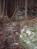 tusi30_thumb.png