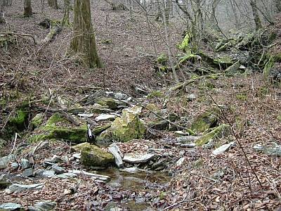 tusi55.jpg
