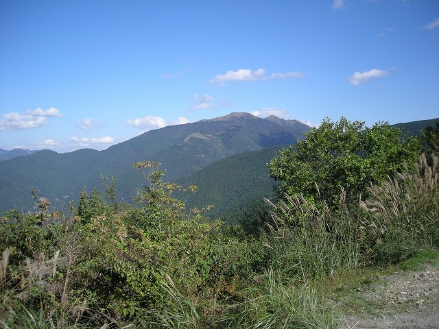 tyahazu001.jpg